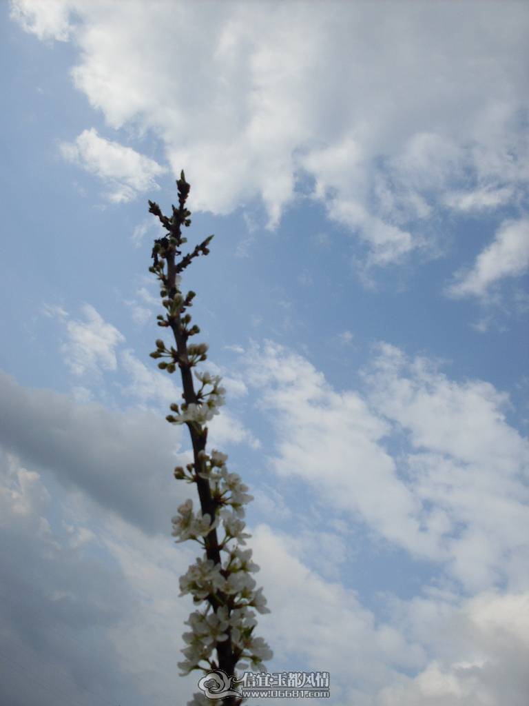 SDC12702.JPG