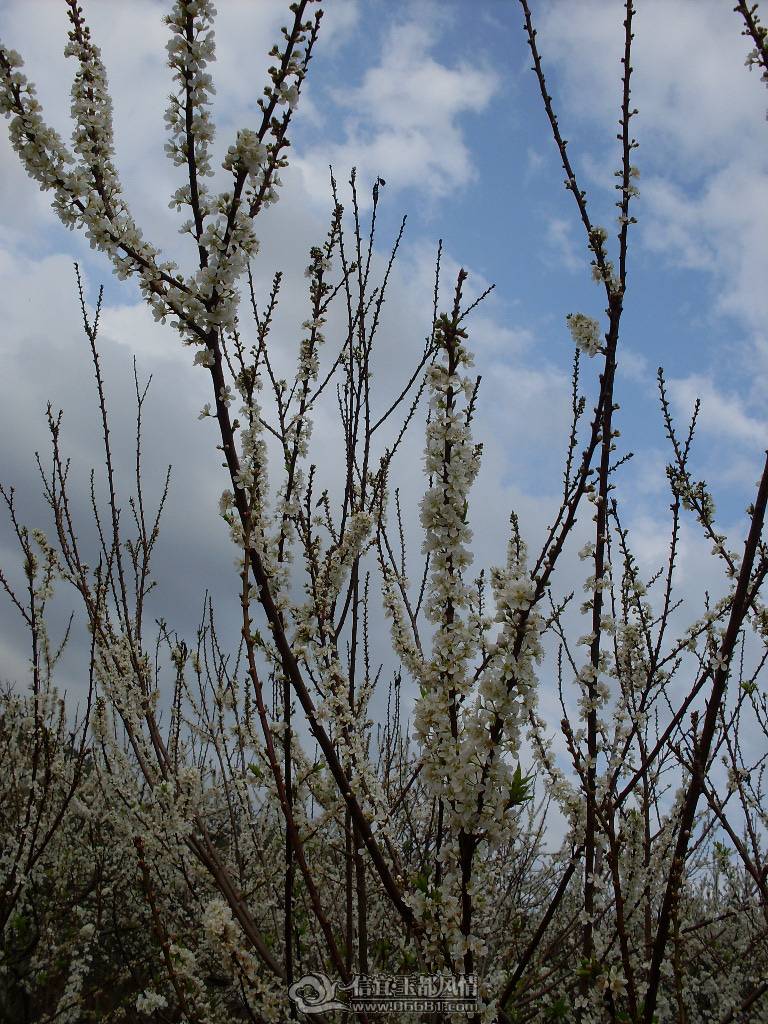 SDC12700.JPG