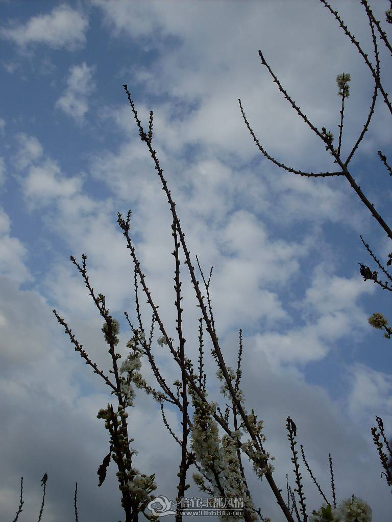 SDC12703.JPG