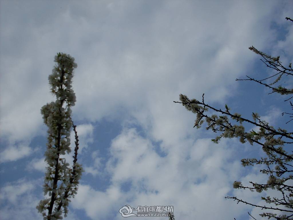 SDC12713.JPG