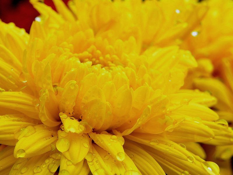 DSCN3464-1.jpg