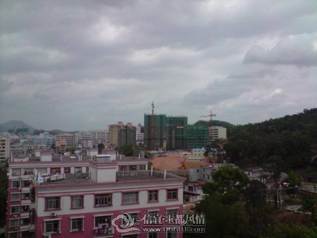 P310110_12.27[01].JPG