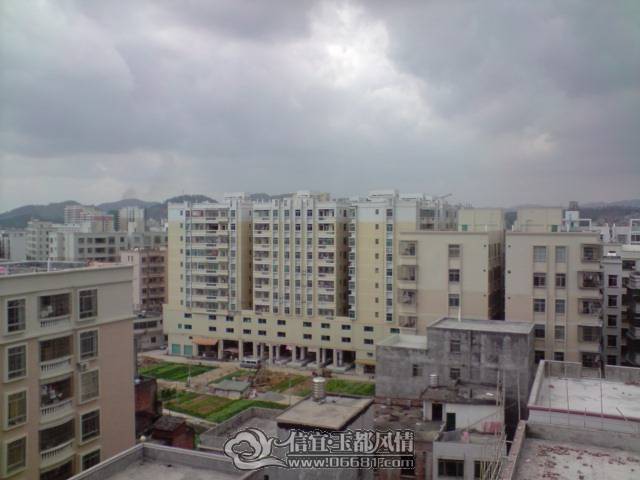 P310110_12.25[01].JPG