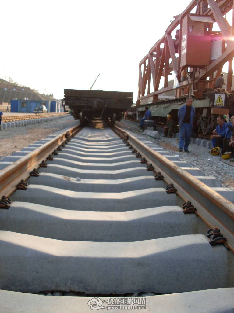 SDC12740.JPG