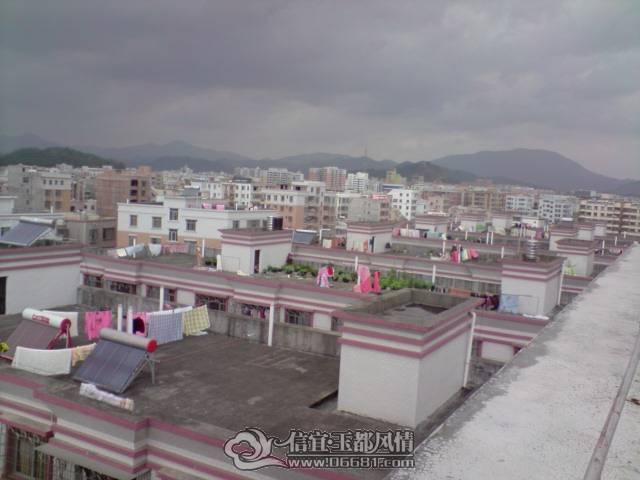 P310110_12.25.JPG