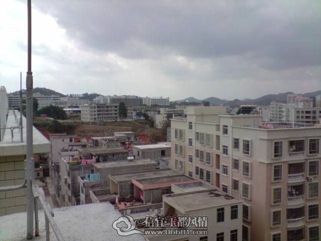 P310110_12.25[02].JPG