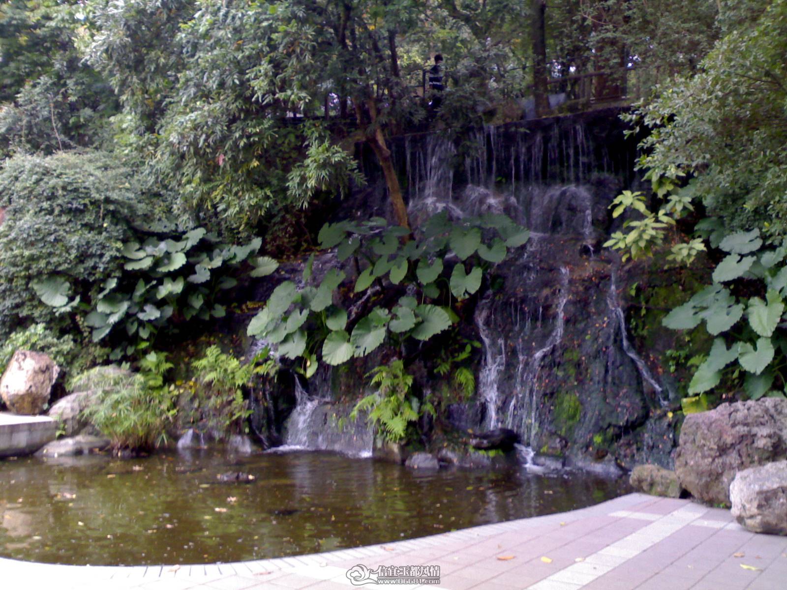 02022010164.jpg