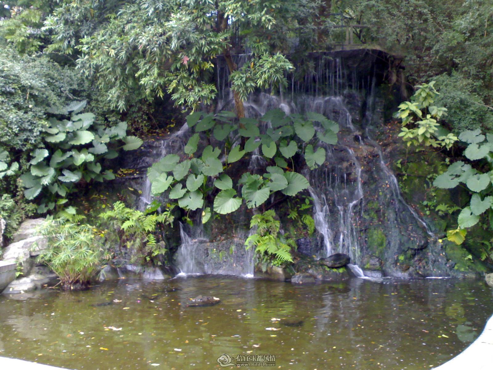 02022010165.jpg