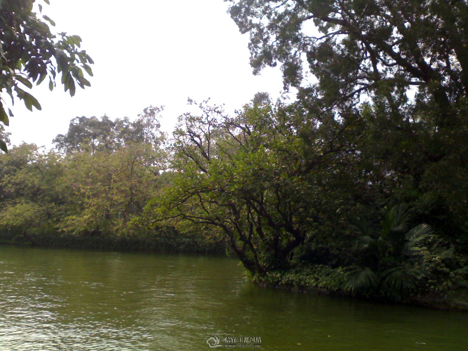 02022010171.jpg