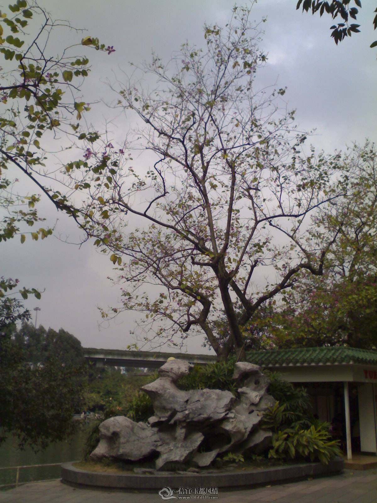 02022010172.jpg