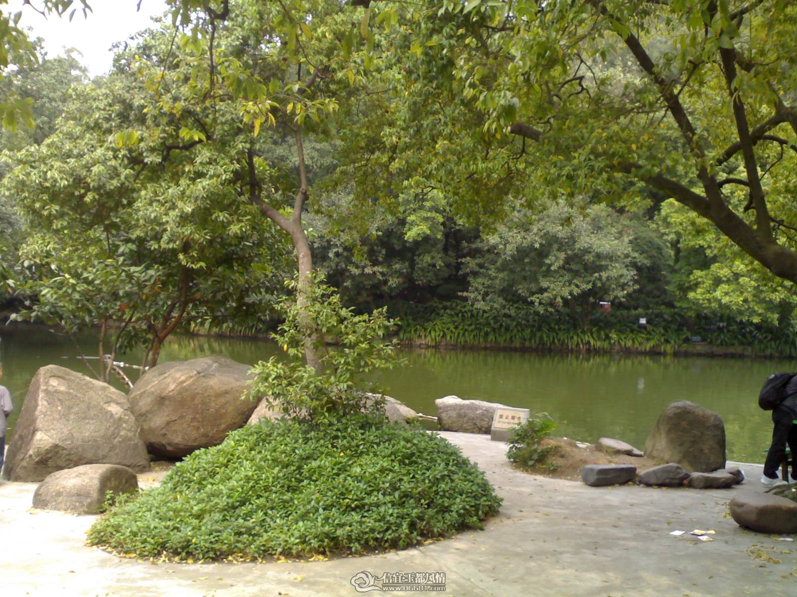 02022010190.jpg