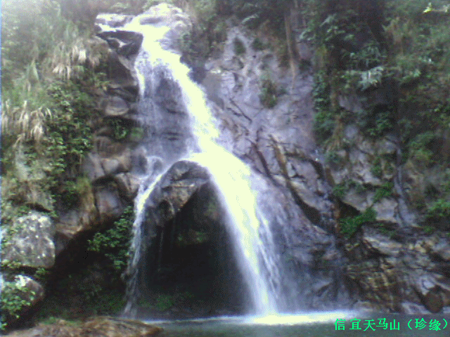 IMG0276A_����.gif
