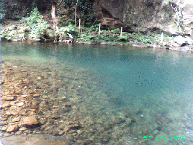 IMG0301A_����.gif