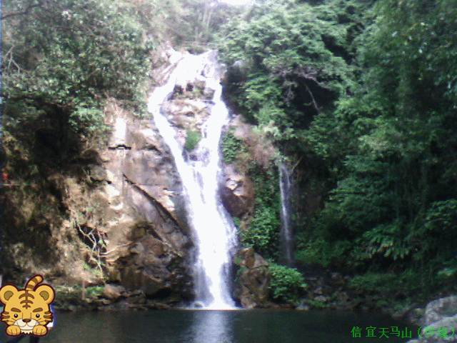 IMG0307A_����.gif