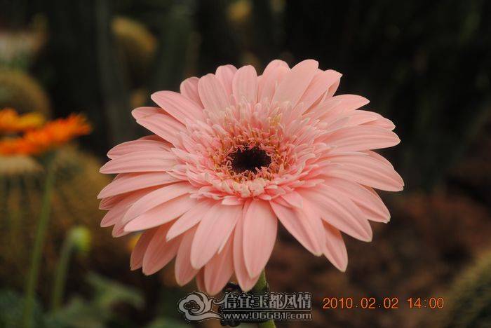 nEO_IMG_��Ƭ 009.jpg