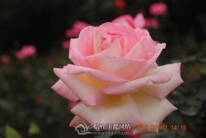 nEO_IMG_��Ƭ 026.jpg