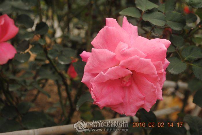 nEO_IMG_��Ƭ 031.jpg