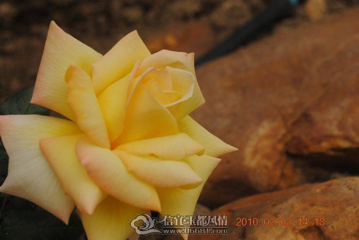 nEO_IMG_��Ƭ 032.jpg