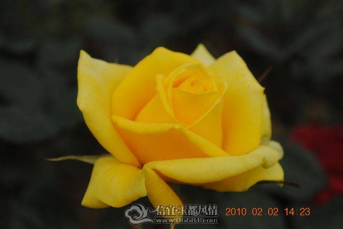 nEO_IMG_��Ƭ 045.jpg