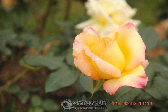 nEO_IMG_��Ƭ 035.jpg