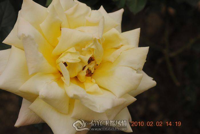 nEO_IMG_��Ƭ 036.jpg