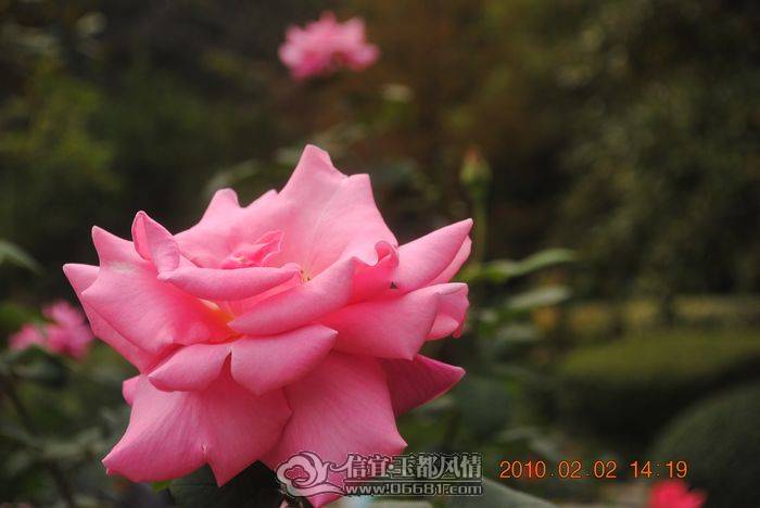 nEO_IMG_��Ƭ 038.jpg