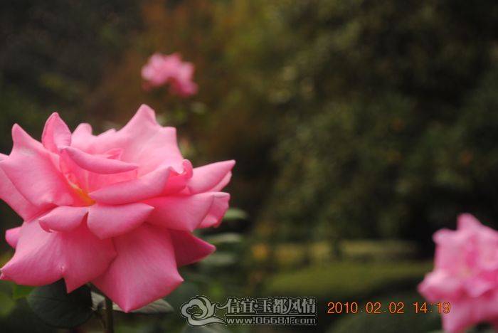 nEO_IMG_��Ƭ 037.jpg