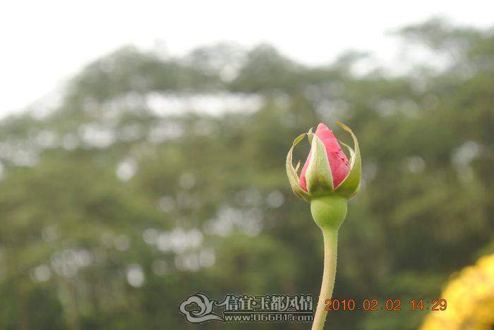 nEO_IMG_��Ƭ 057.jpg