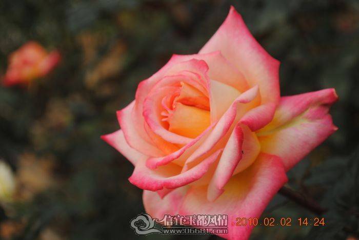 nEO_IMG_��Ƭ 048.jpg