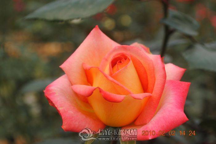 nEO_IMG_��Ƭ 047.jpg