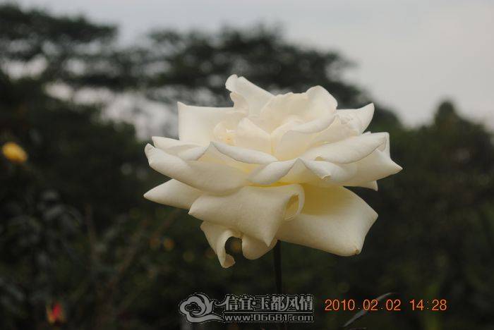nEO_IMG_��Ƭ 056.jpg