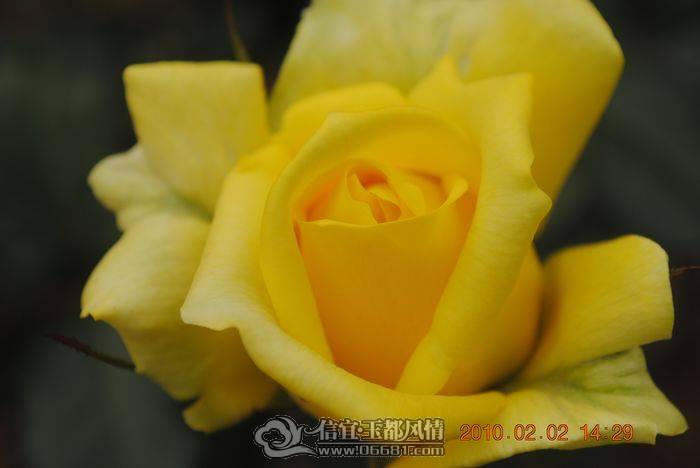 nEO_IMG_��Ƭ 058.jpg