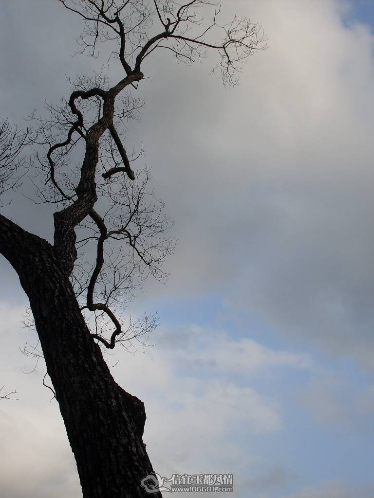 SDC12824.JPG