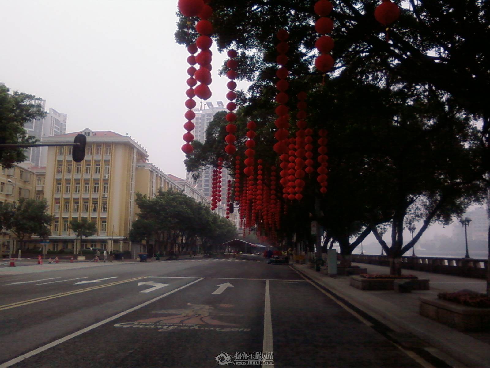 20100205(001).jpg