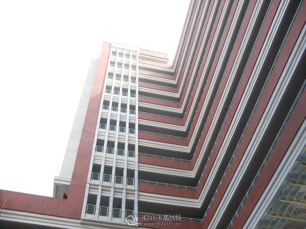 SDC13477.JPG