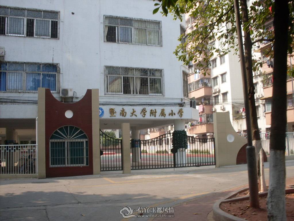 SDC13482.JPG