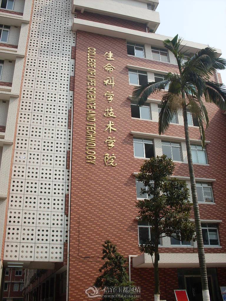 SDC13465.JPG