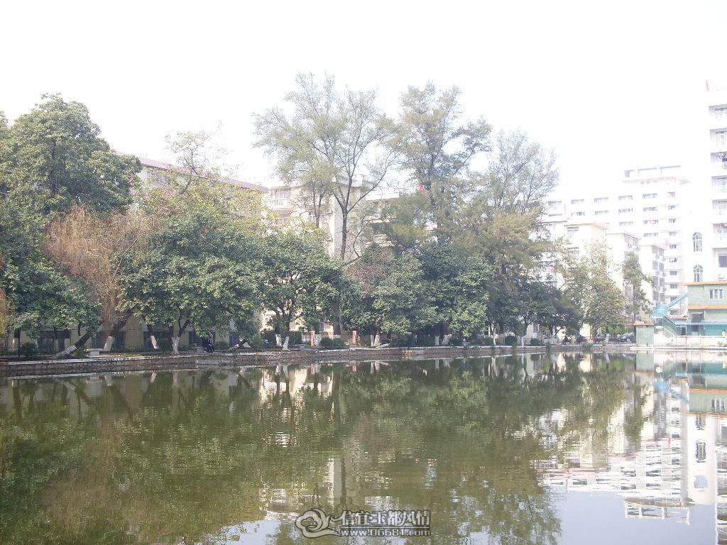 SDC13448.JPG