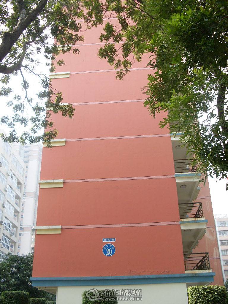 SDC13431.JPG