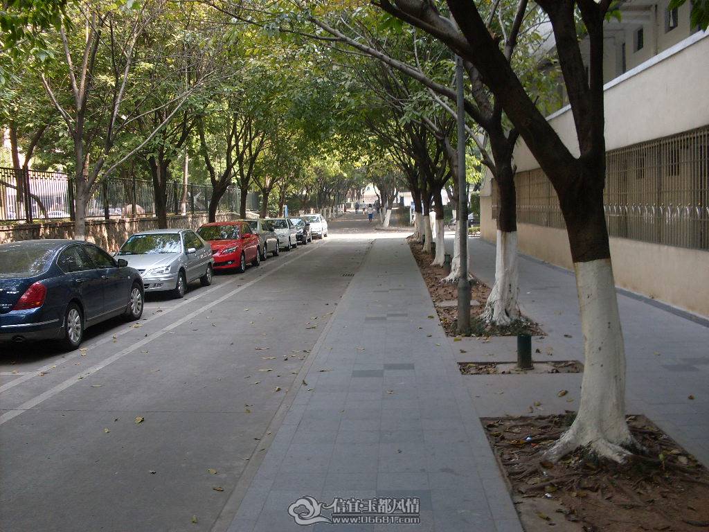 SDC13427.JPG