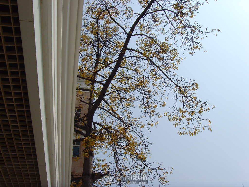 SNV36914.JPG