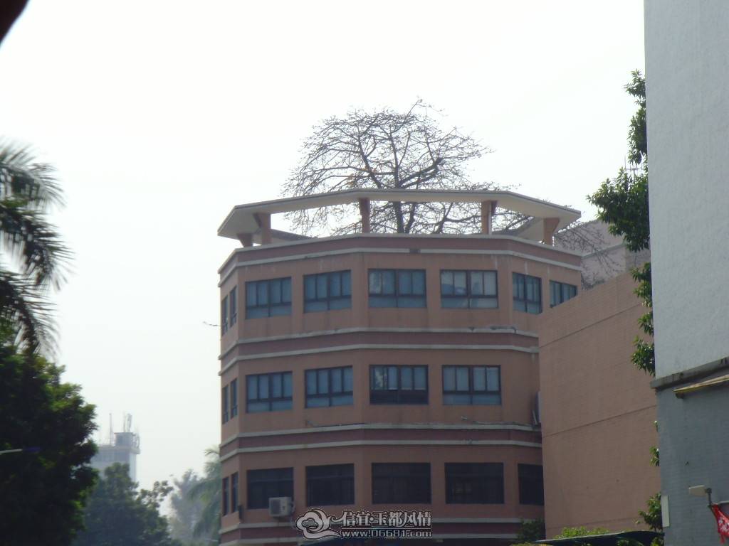 SNV36907.JPG