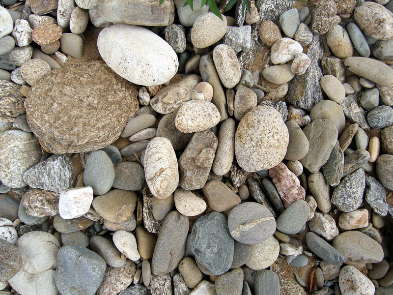 P2070430.JPG
