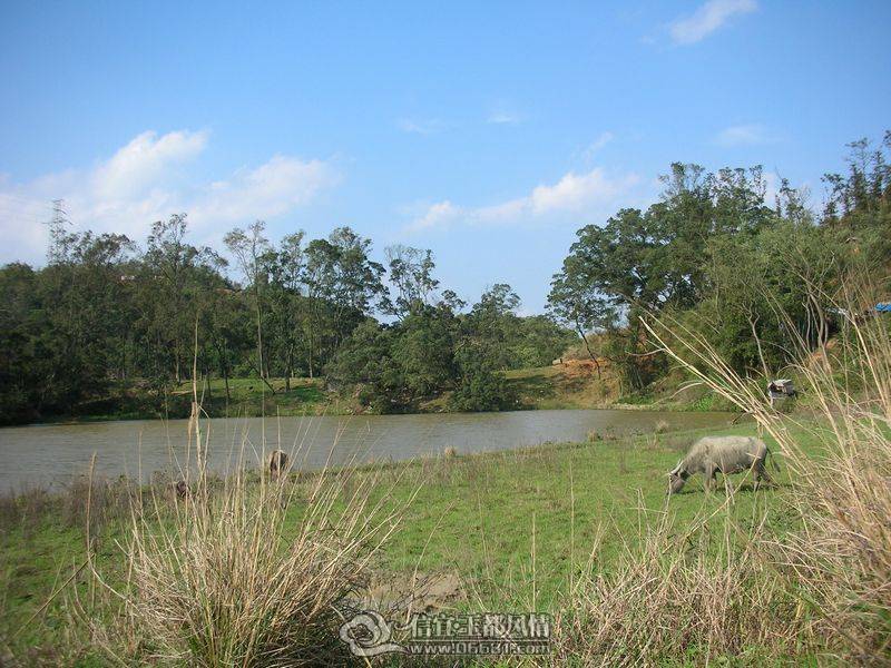 DSCN1282.jpg