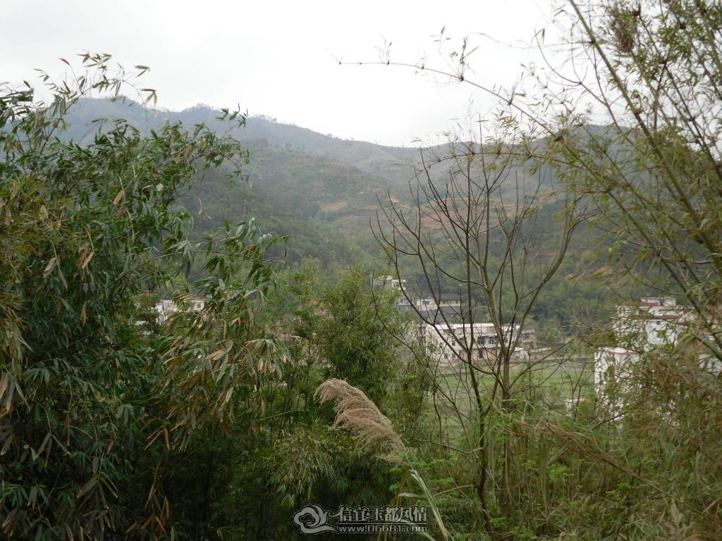 SDC10229.JPG