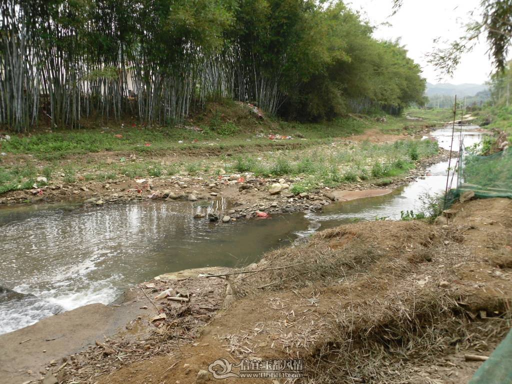 SDC10241.JPG