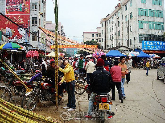 nEO_IMG_DSC08244.jpg