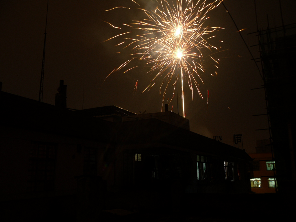 SDC10369.JPG