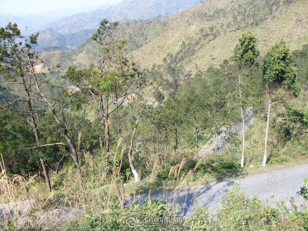 SDC13209.JPG
