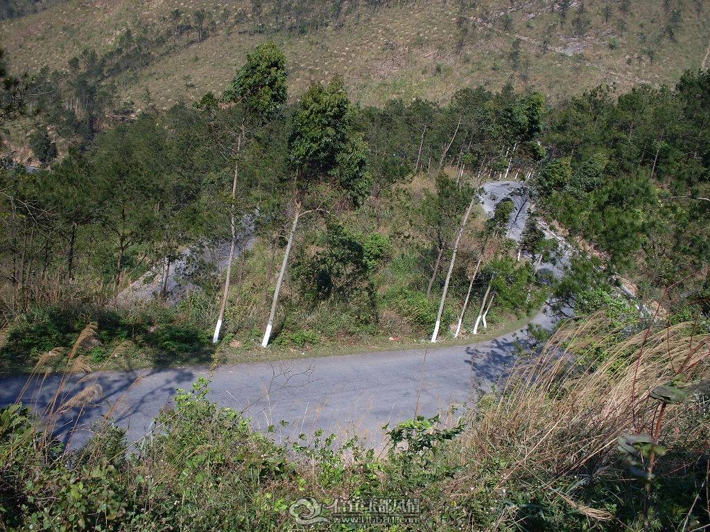 SDC13212.JPG